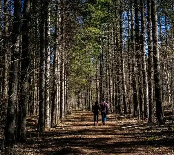 two people walking on a hiking trail. Hiking trails that might be open in November