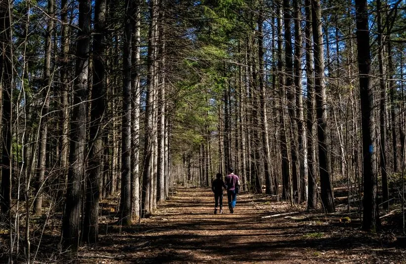 two people walking on a hiking trail. Hiking trails that might be open in November
