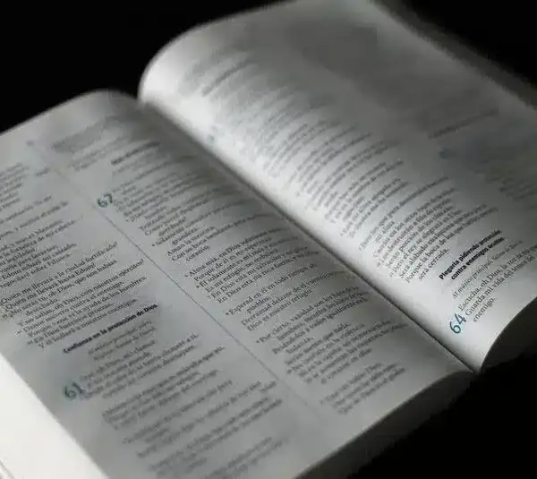 daily devotion, bible, bible verses, lessons in the bible
