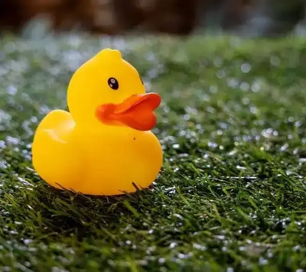 Jeep recalls are putting rubber ducks at risk again with engine debris and stall risk.