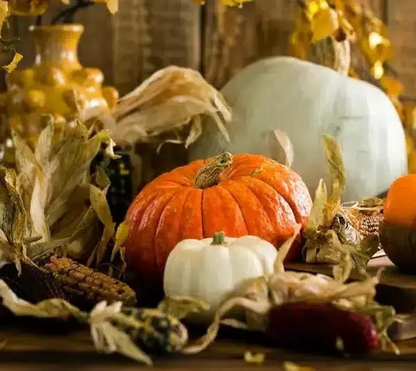 Thanksgiving decor that could be around some small towns to make them look like they came straight out of a Hallmark movie.