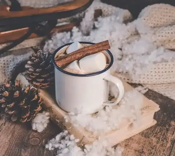 Hot chocolate in a white ceramic mug
