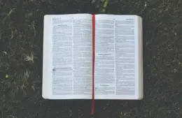 daily devotion
