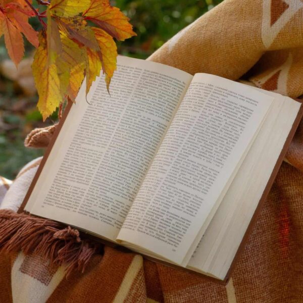 Open book on a blanket surrounded by autumn leaves for a cozy seasonal reading vibe, daily devotion