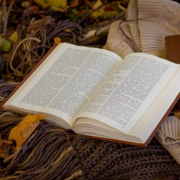 Open book on cozy knitted sweater surrounded by autumn leaves, perfect for seasonal reading vibes, daily devotion