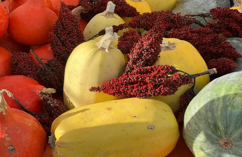 Sumac seasonal harvest with companion fruits. 