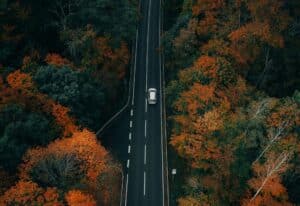 Take Thanksgiving road trips and enjoy the scenic views.