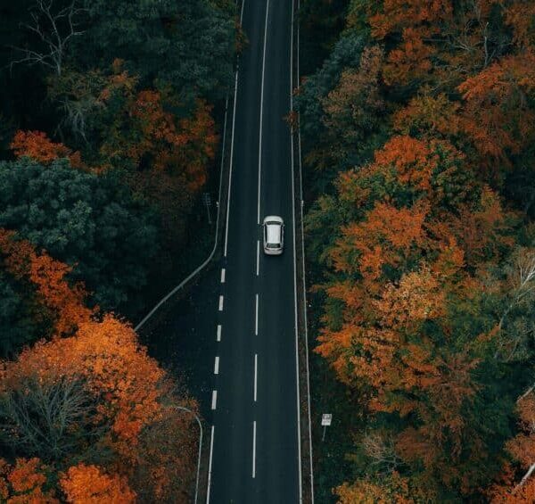 Take Thanksgiving road trips and enjoy the scenic views.