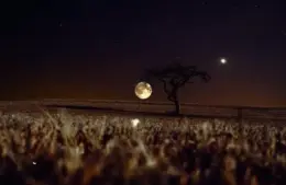 full moon, astrology, Gemini Full Moon