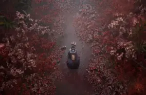 Silent Hill f owes popularity to fan art/Silent Hill f show realities of womanhood