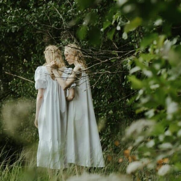 Gemini communicating hidden truth to the woods.