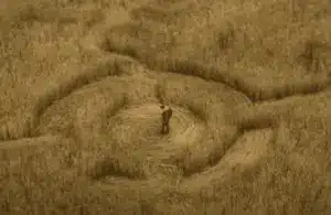 Disclosure Day trailer, Steven Spielberg, David Koepp, sci-fi thriller, alien encounters, we are not alone, Universal Pictures, humanity, government conspiracy, summer 2026, crop circles