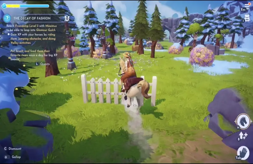 Wishblossom Ranch, DDV, horse jumping