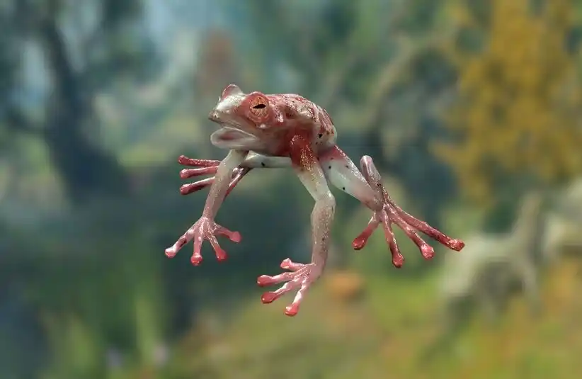 Baldur's Gate 3 Addled Frog Encounter