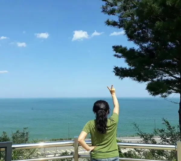 Person in green shirt looking at the ocean from a rest stop, road trips, stretch