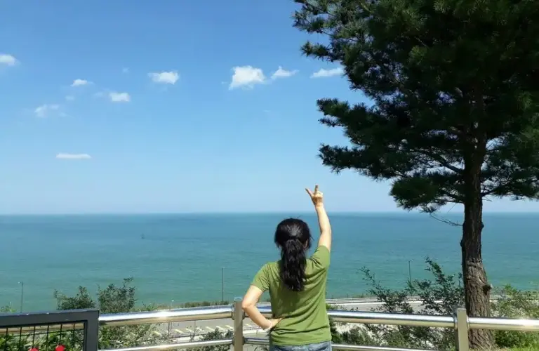 Person in green shirt looking at the ocean from a rest stop, road trips, stretch