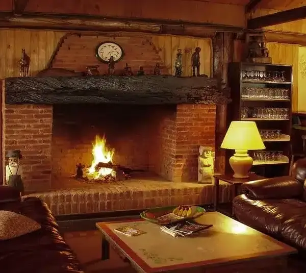Winter care for your fireplace and chimney.