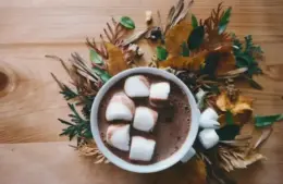 Hot Chocolate and Bone health: Why Sugar Matters