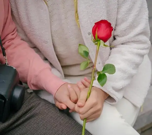 dating, two people sitting on a bench with a rose