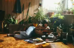 Winter plant care for your favorite houseplants.