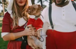 pet friendly holiday destinations. Holiday travel