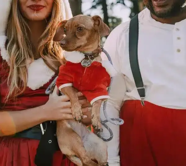 pet friendly holiday destinations. Holiday travel