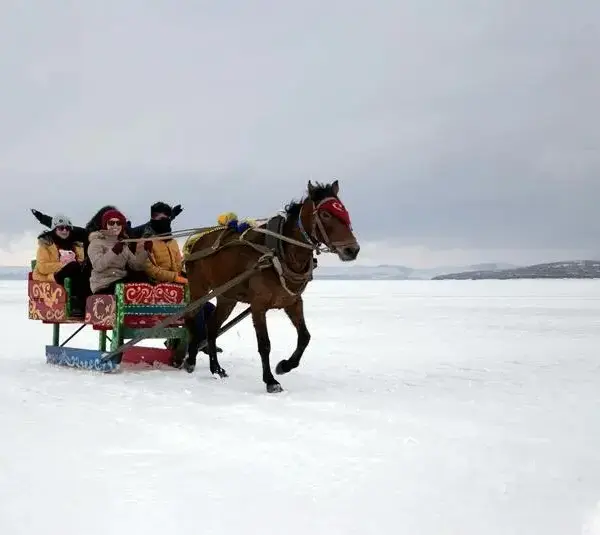 horse-drawn open sleigh, jingle bells
