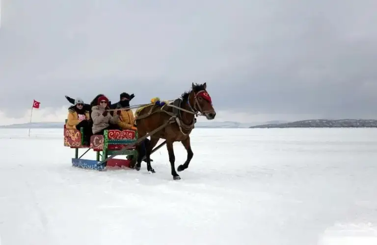 horse-drawn open sleigh, jingle bells
