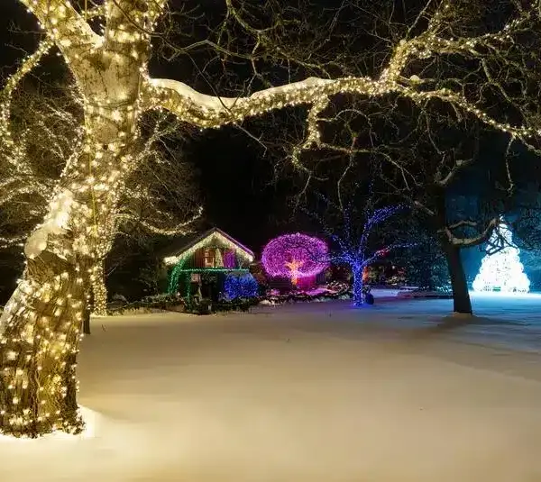 Simple Holiday Outdoor Lighting Ideas for December Nights