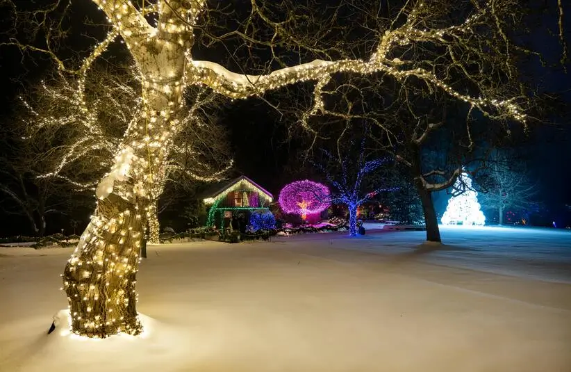 Simple Holiday Outdoor Lighting Ideas for December Nights