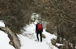 Best U.S. Destinations for Snowshoeing and Winter Hikes