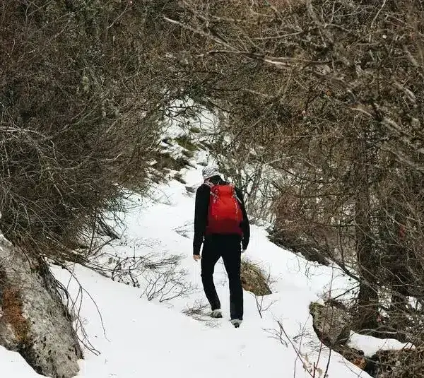 Best U.S. Destinations for Snowshoeing and Winter Hikes