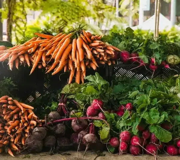 Winter Seasonal Root Vegetables