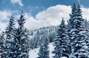 Steamboat Springs, CO, USA, snow covered pine trees, family friendly winter resorts