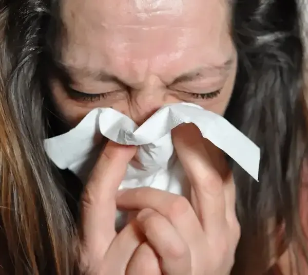 Sniff, Flu, Cold, immune system