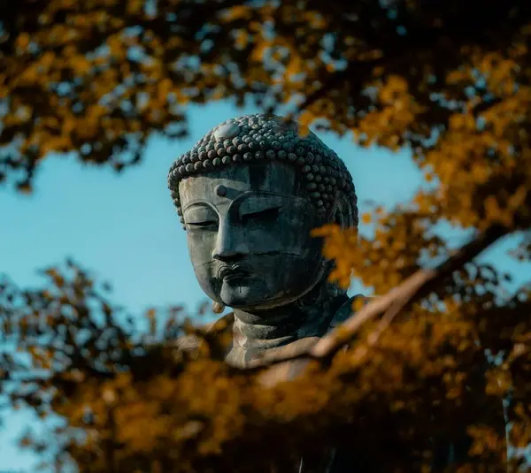 Eastern meditation practices have a long history in the relationships of humans and nature.