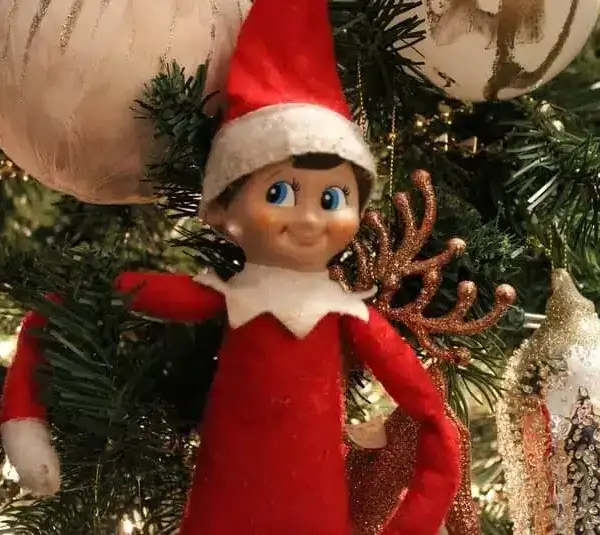 Elf on the Shelf on the tree!