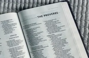 A Bible open to Proverbs, daily devotion