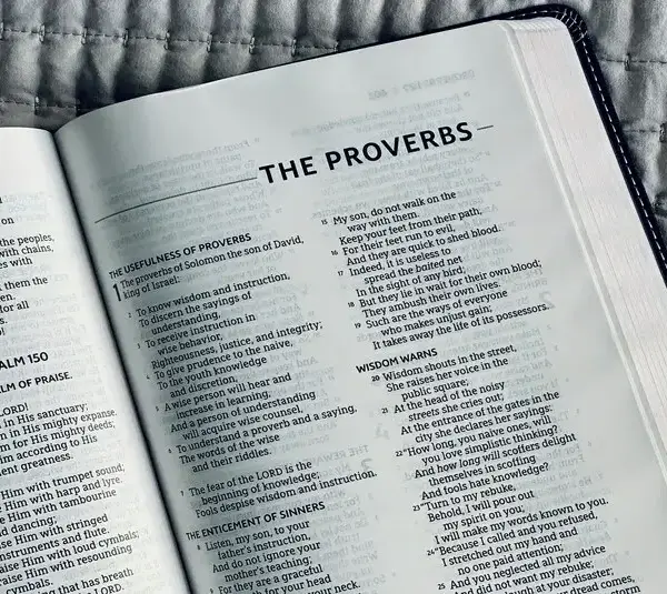 A Bible open to Proverbs, daily devotion