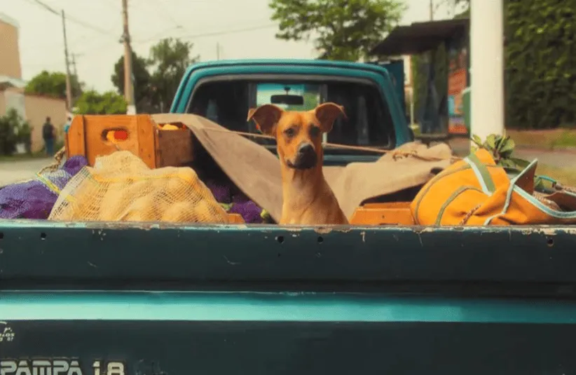 "Caramelo" is available to watch on Netflix now.