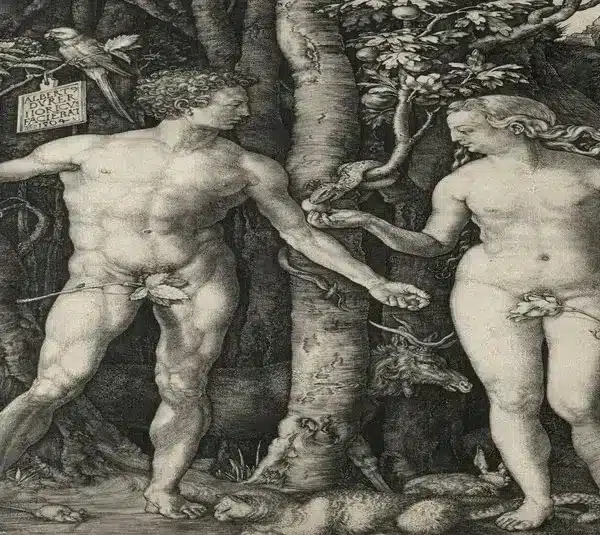 Adam and Eve 1504 Albrecht Dürer (German, 1471–1528) Germany, early 16th Century engraving Bequest of Leonard C. Hanna Jr. 1958.111