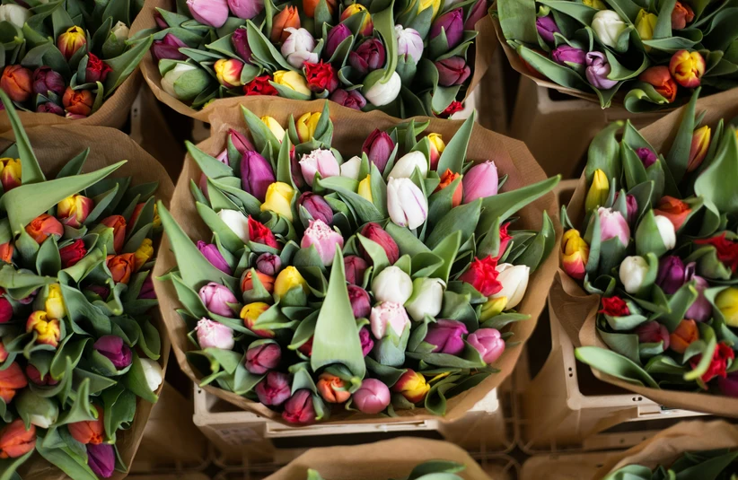Tulip bouquets wrapped up and waiting for your Valentine surprise.