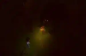 The lead character of Grave Seasons explores the woods.