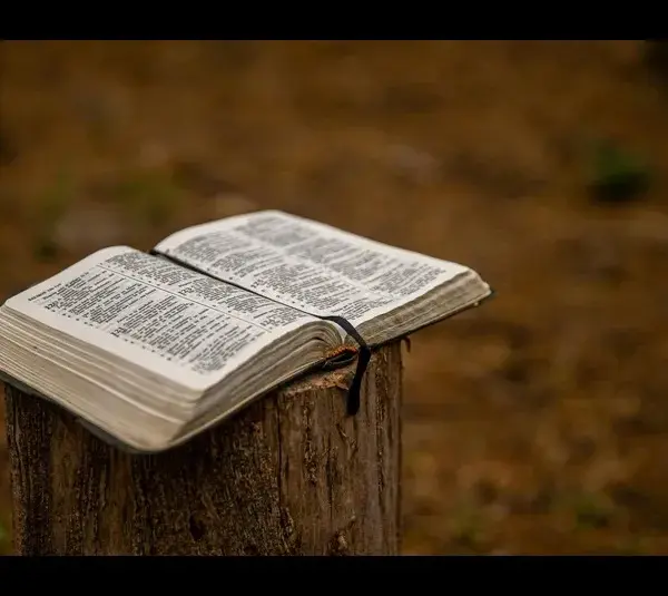 In daily devotion, an open Bible is outside sitting on a post