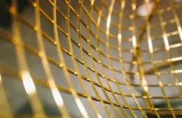 2026 Grammys │ How will each of the zodiac signs handle the big night?