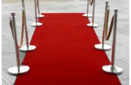 Red Carpet for Golden Globes looks