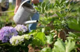 Know your updated gardening zones.