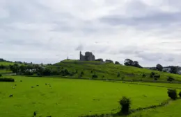 In Ireland Celtic folklore live in everything that is green. And that's a lot.