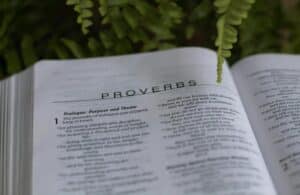 Open Bible Proverbs, Acts of Daily Devotion.
