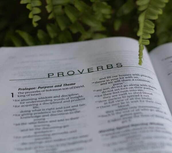 Open Bible Proverbs, Acts of Daily Devotion.